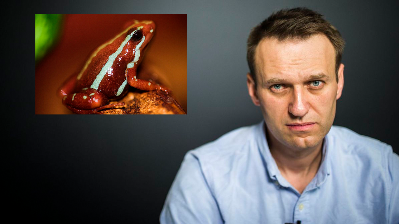 Países europeos concluyen que Alexei Navalny murió envenenado con toxina letal y apuntan responsabilidad de Rusia